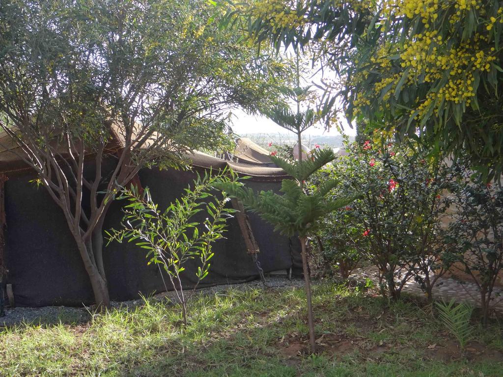 Douar Noujoum Acomodação com café da manhã Essaouira Exterior foto